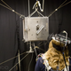 Image for article titled The NASA Playground That Takes Virtual Reality To a Whole New Level